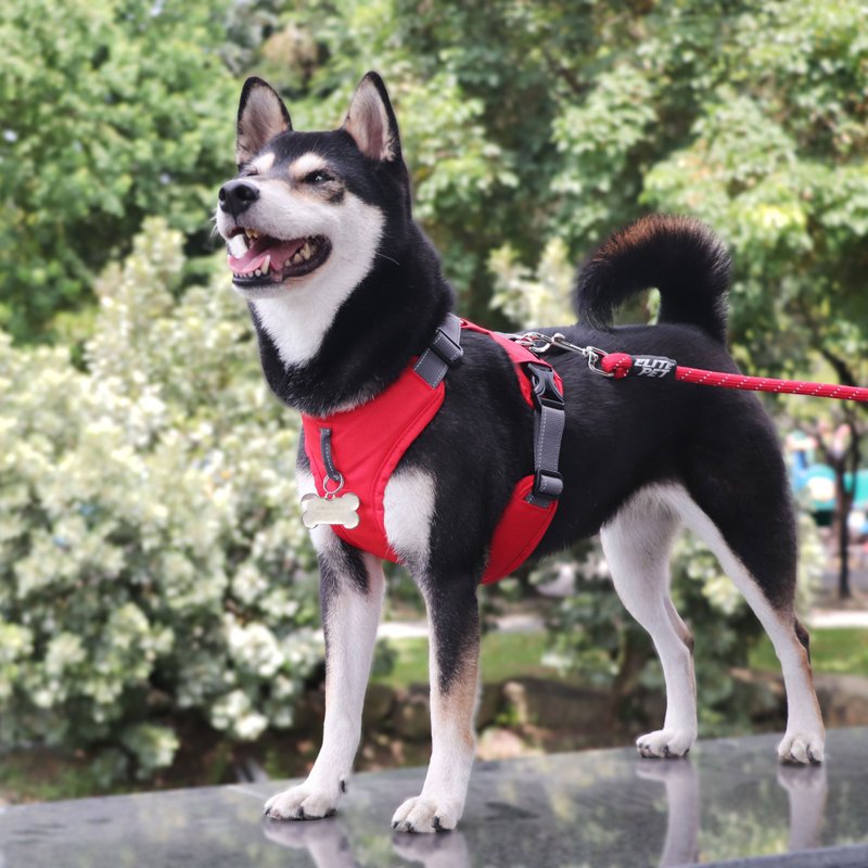 URBAN HARNESS 宠物包覆式胸背带 紅 - 项圈/牵绳 - 尼龙 红色