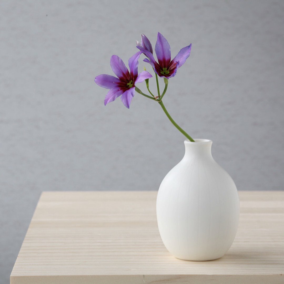 Small white pottery flower vase - 花瓶/陶器 - 瓷 白色