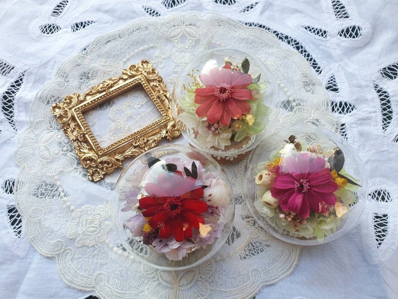 清新永生百日草 迷你圆球玻璃罩 - 干燥花/捧花 - 植物．花 