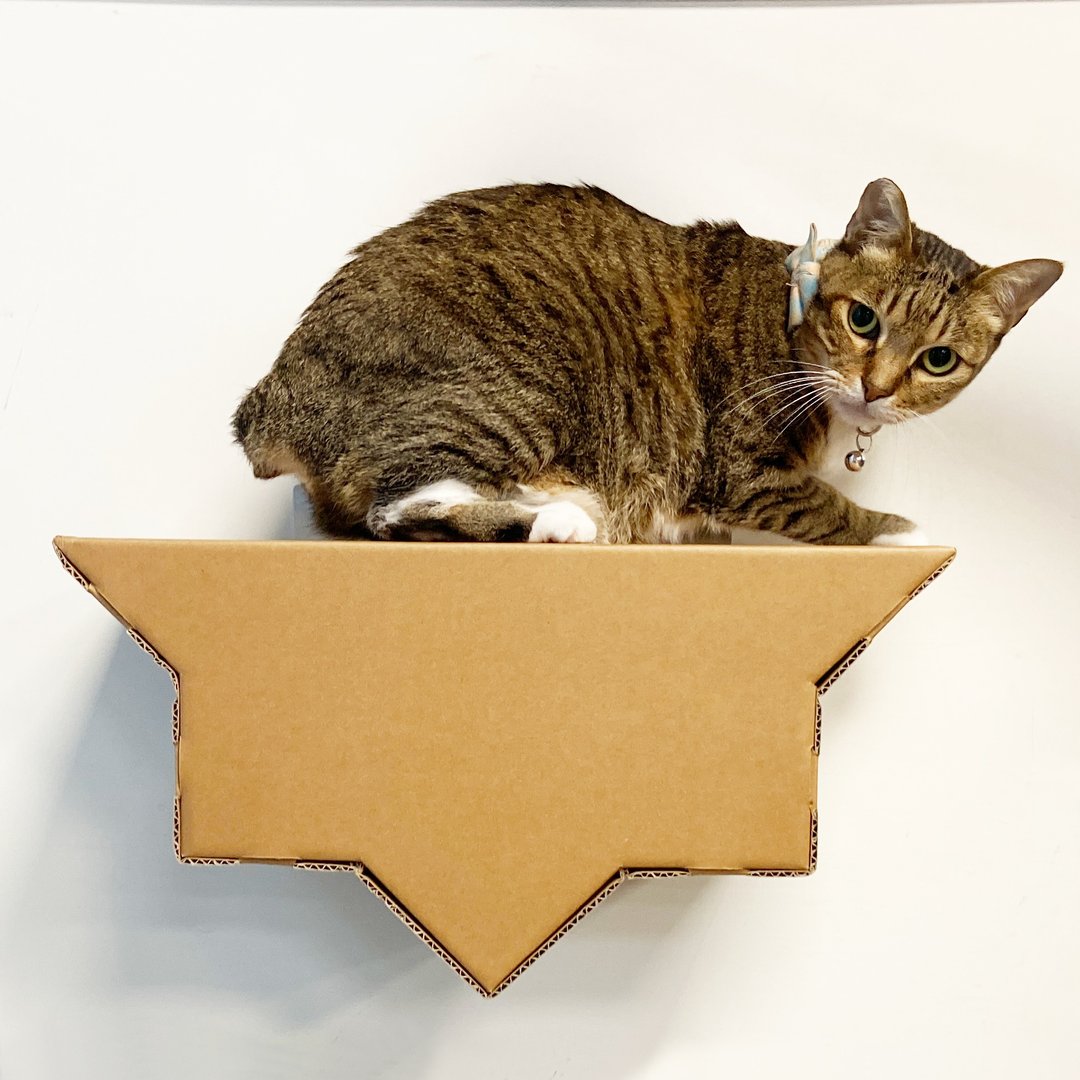 买一送一 星星窝猫跳台(福利品) - 抓板/跳台 - 其他材质 咖啡色