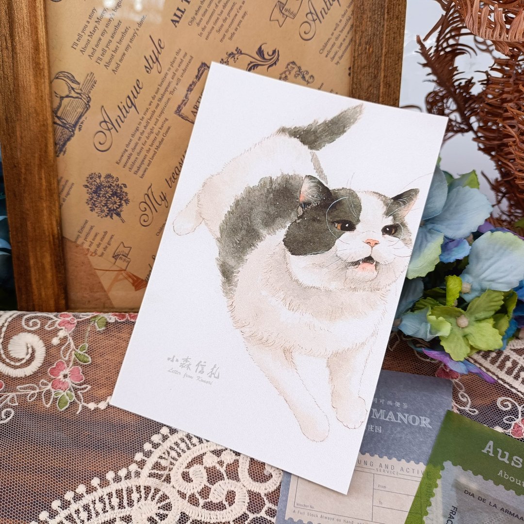 LS159_貓咪明信片_20/明信片 - 卡片/明信片 - 纸 多色