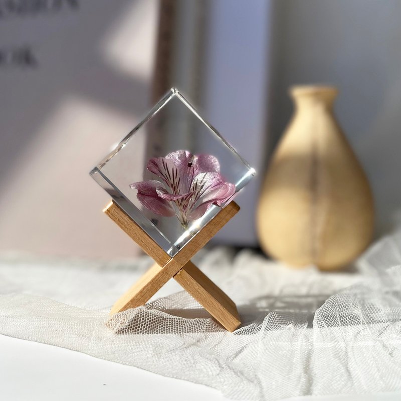 水仙百合六出花标本5cm立方体/配支架+木盒+禮袋+賀卡 - 摆饰 - 树脂 粉红色