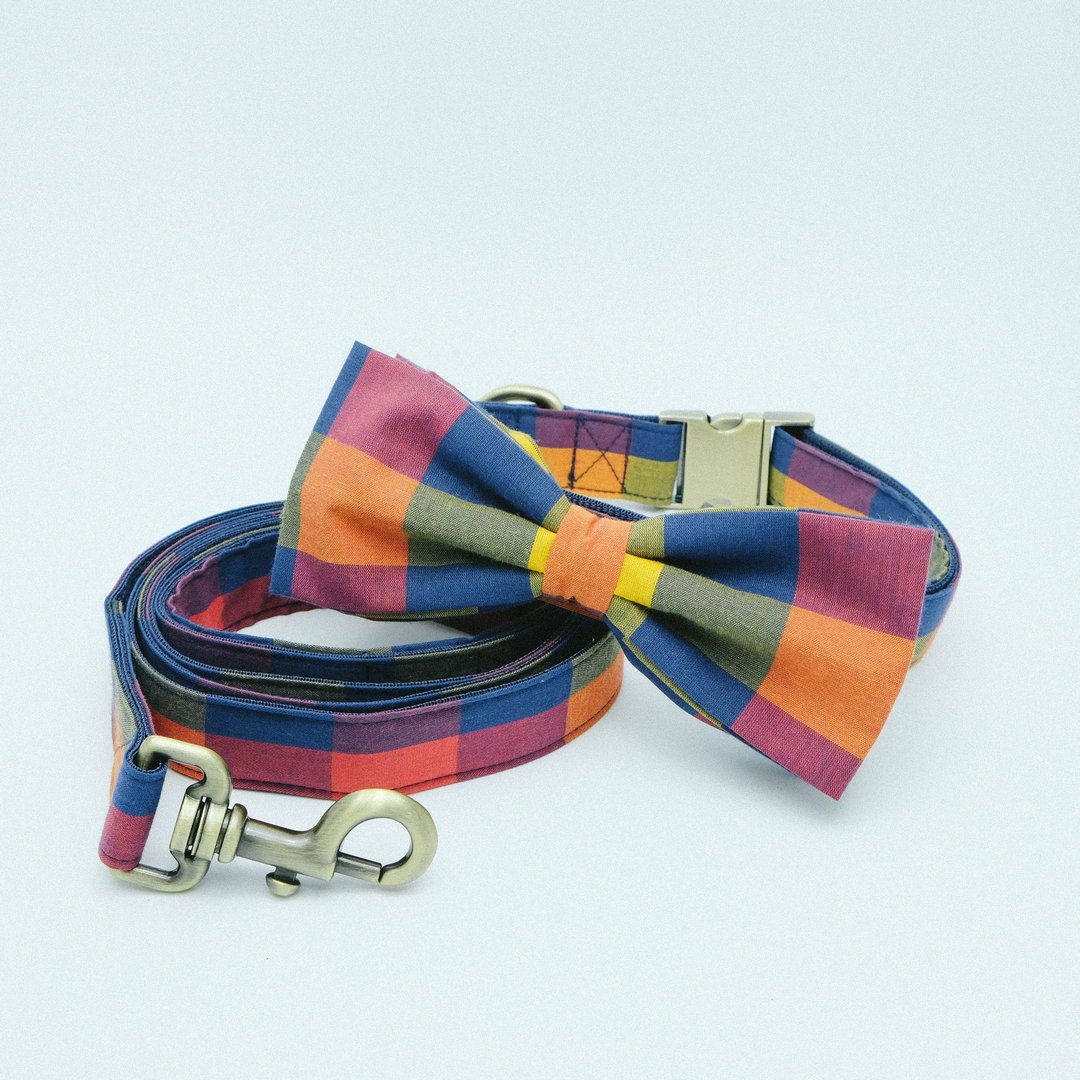 Bowtie Collar with Leash - Plaid Collection Yellow / Navy. - 项圈/牵绳 - 其他材质 橘色