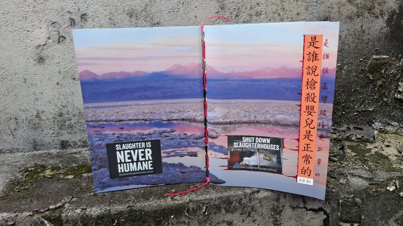 Liuyingchieh 是谁说枪杀婴儿是正常的 006 VEGAN 拼贴艺术家的书 - 刊物/书籍 - 纸 粉红色