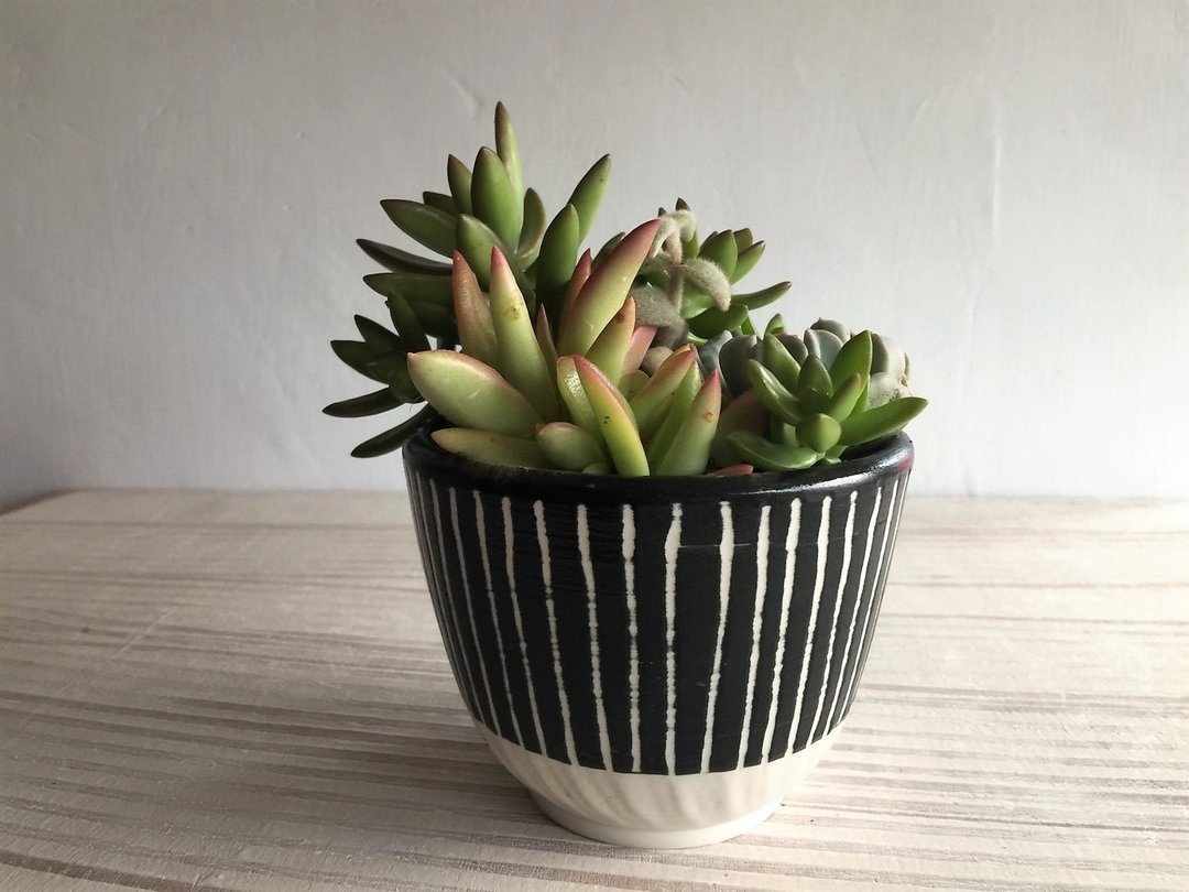 黑白配多肉植物花器_陶器花器盆栽 - 植栽/盆栽 - 瓷 黑色