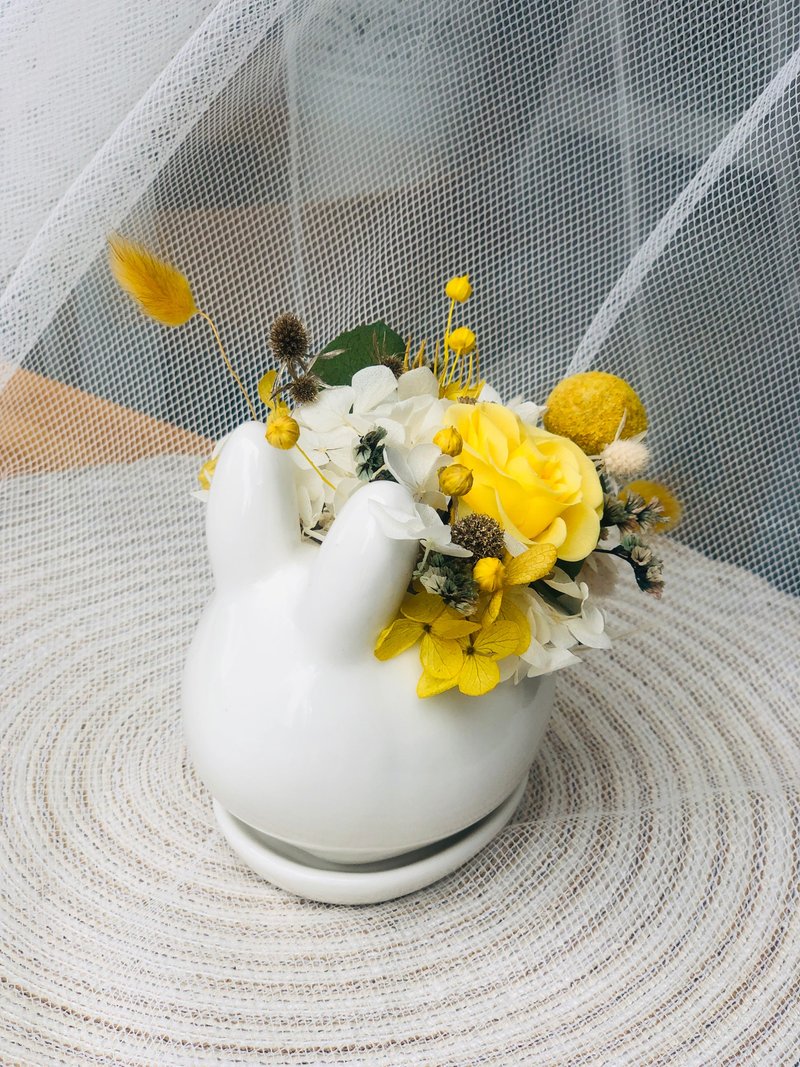 Ochre 永生花 兔兔小盆花 - 干燥花/捧花 - 植物．花 黄色