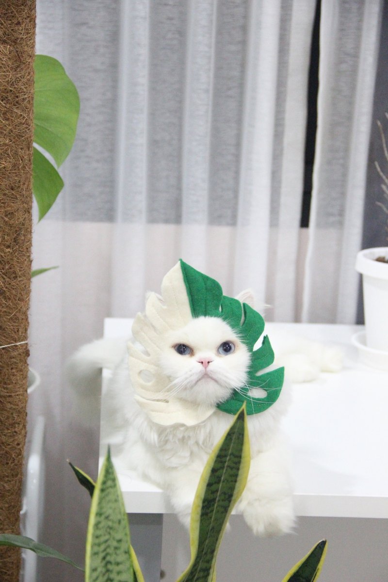 Monstera Half Moon | Pet Costumes - 项圈/牵绳 - 其他材质 