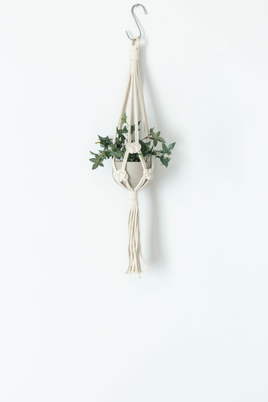 Macrame Plant Hanger / Josephine knots - 植栽/盆栽 - 棉 白色