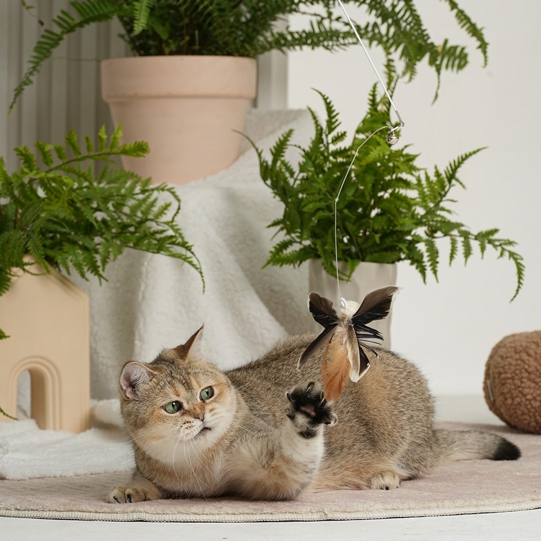 撩猫神器/可伸缩/可替换 | 手工逗猫棒-凤尾蝶  Pawsholic爪迷 - 玩具 - 其他材质 
