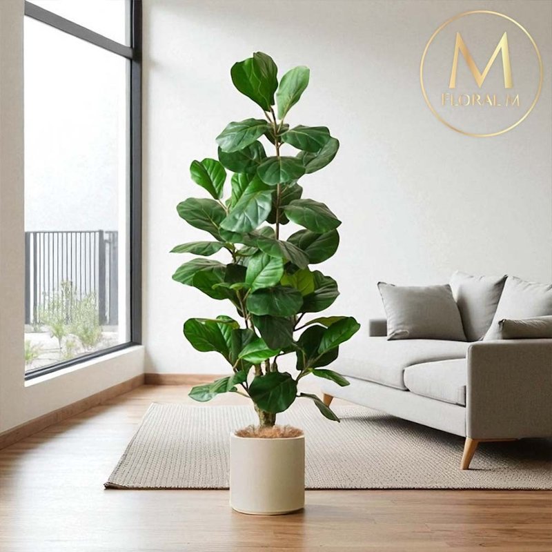 居家绿植1.5米琴叶榕室内大型仿真植栽(赠送花盆) - 摆饰 - 塑料 绿色