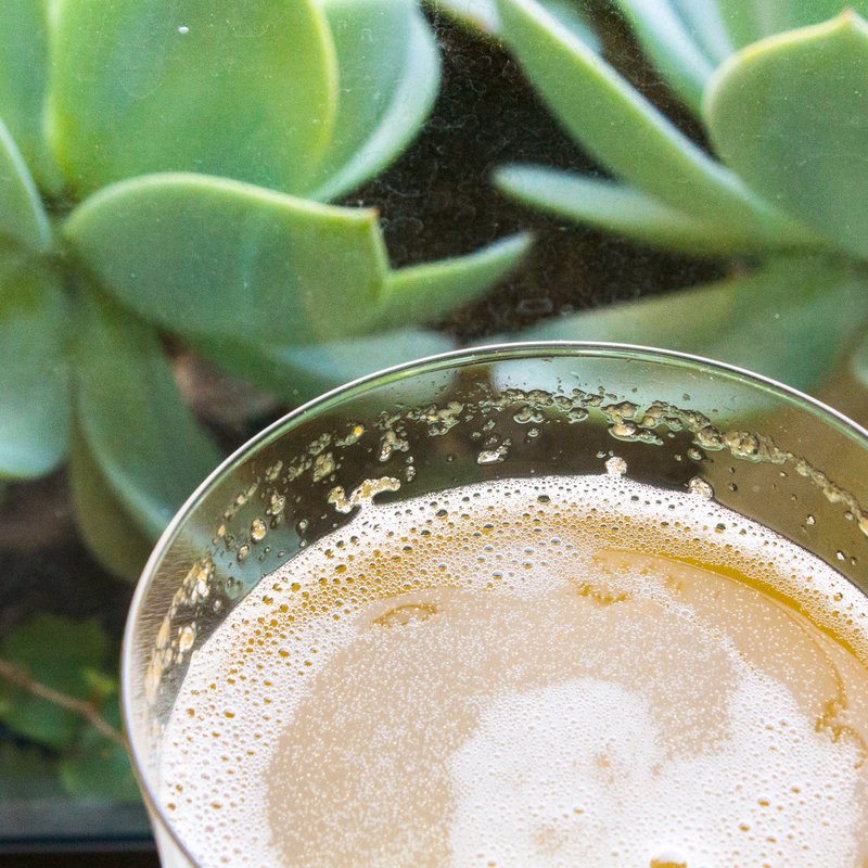 夏日汽泡魔法：自然发酵梅子苏打 DIY 组合 - 其他 - 其他材质 卡其色