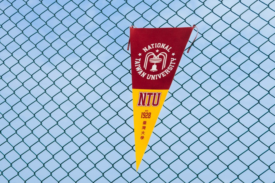 NTU 三角旗美式风格 直式 红 - 其他 - 其他人造纤维 红色