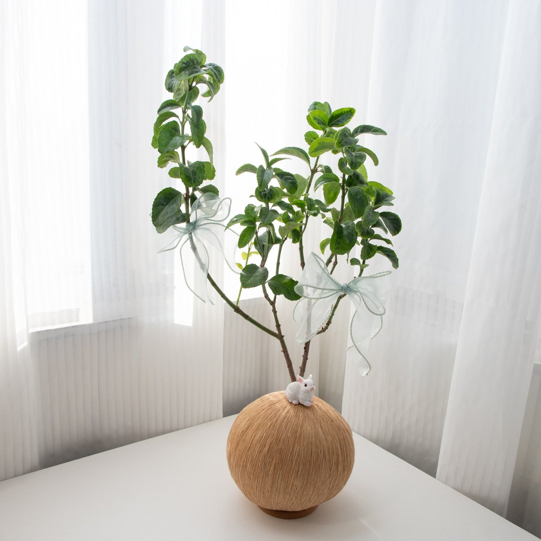 黄金征木 手作植栽苔球 - 植栽/盆栽 - 植物．花 