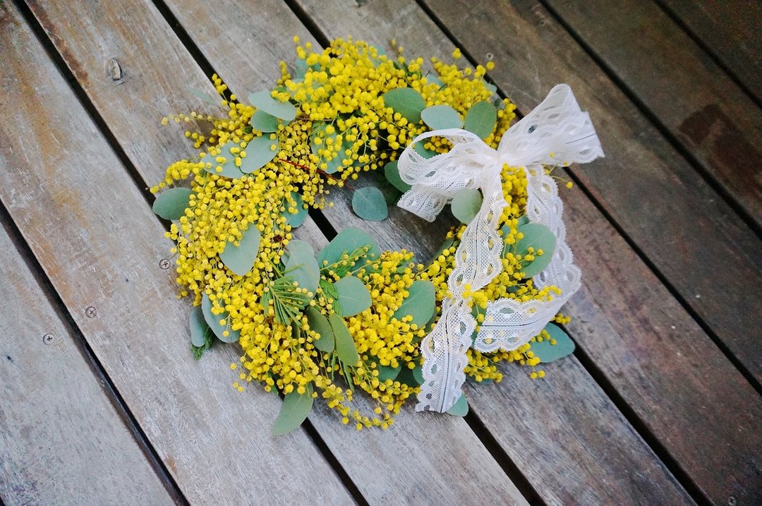 ミモザ金合欢花圈 - 摆饰 - 植物．花 黄色