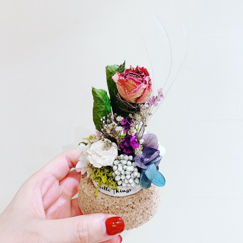 Hello 不凋花 永生花 干燥花 现货 干燥花玻璃盅 DIY 手作材料包 - 植栽 - 植物．花 