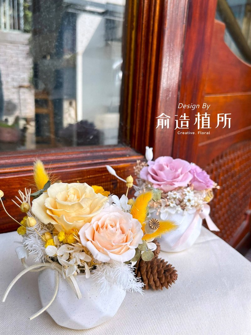 永生小盆花 居家布置小物 - 干燥花/捧花 - 其他材质 多色