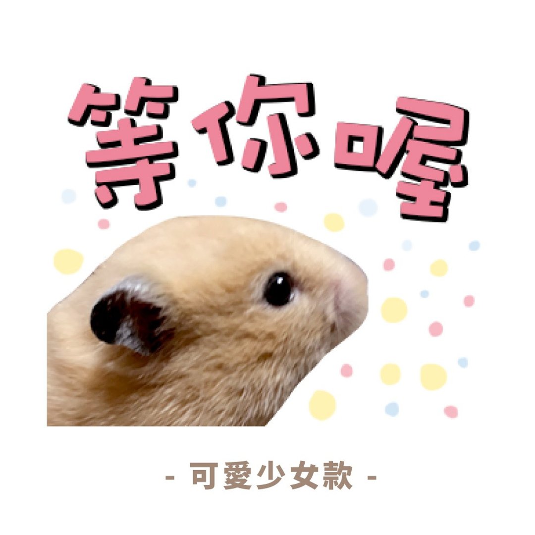 定制化贴图-可爱少女款 - 电脑手机桌布/贴图/App 图示 - 其他材质 