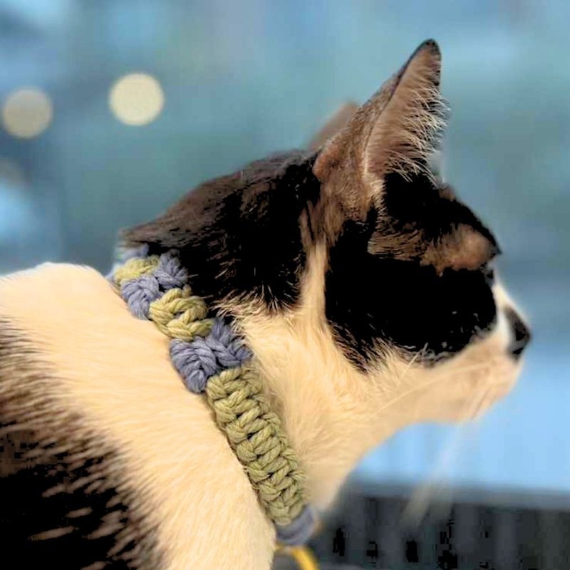 手工猫项圈，蝴蝶结图案，蓝 - 项圈/牵绳 - 其他材质 多色