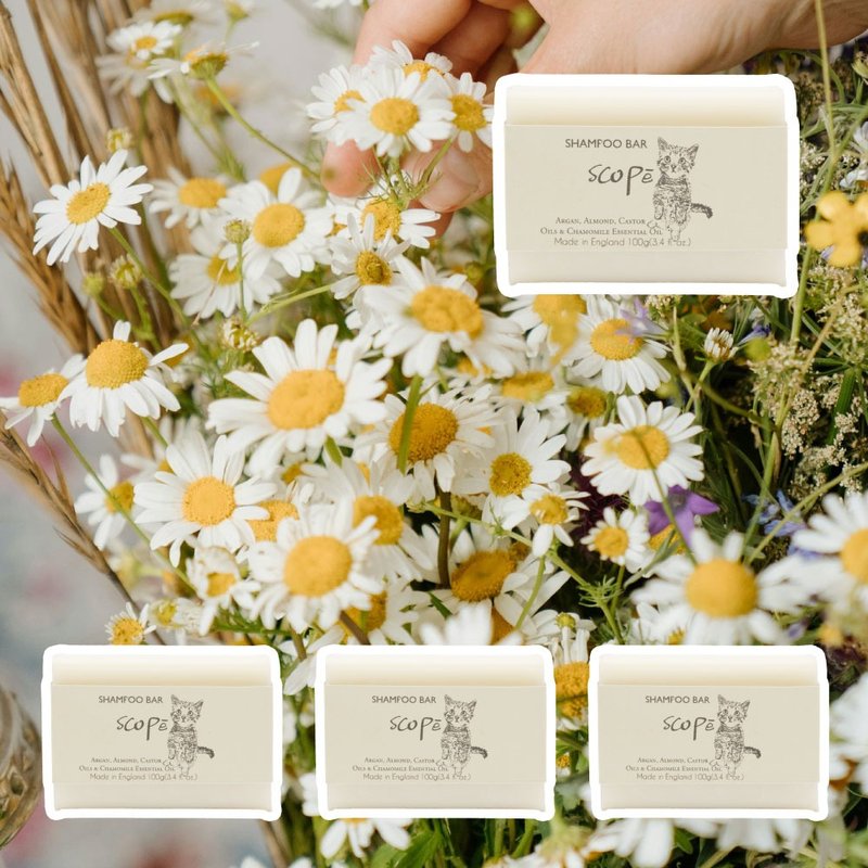 洋甘菊洗发皂裸装4入-英国原装【诗可贝SCOPē】圣诞节 - 脸部清洁/卸妆用品 - 浓缩/萃取物 