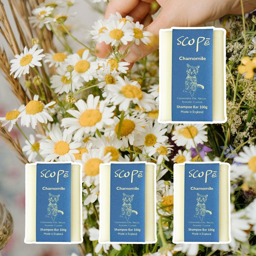 洋甘菊洗发皂裸装 4 入【诗可贝 SCOPē】 - 脸部清洁/卸妆用品 - 浓缩/萃取物 