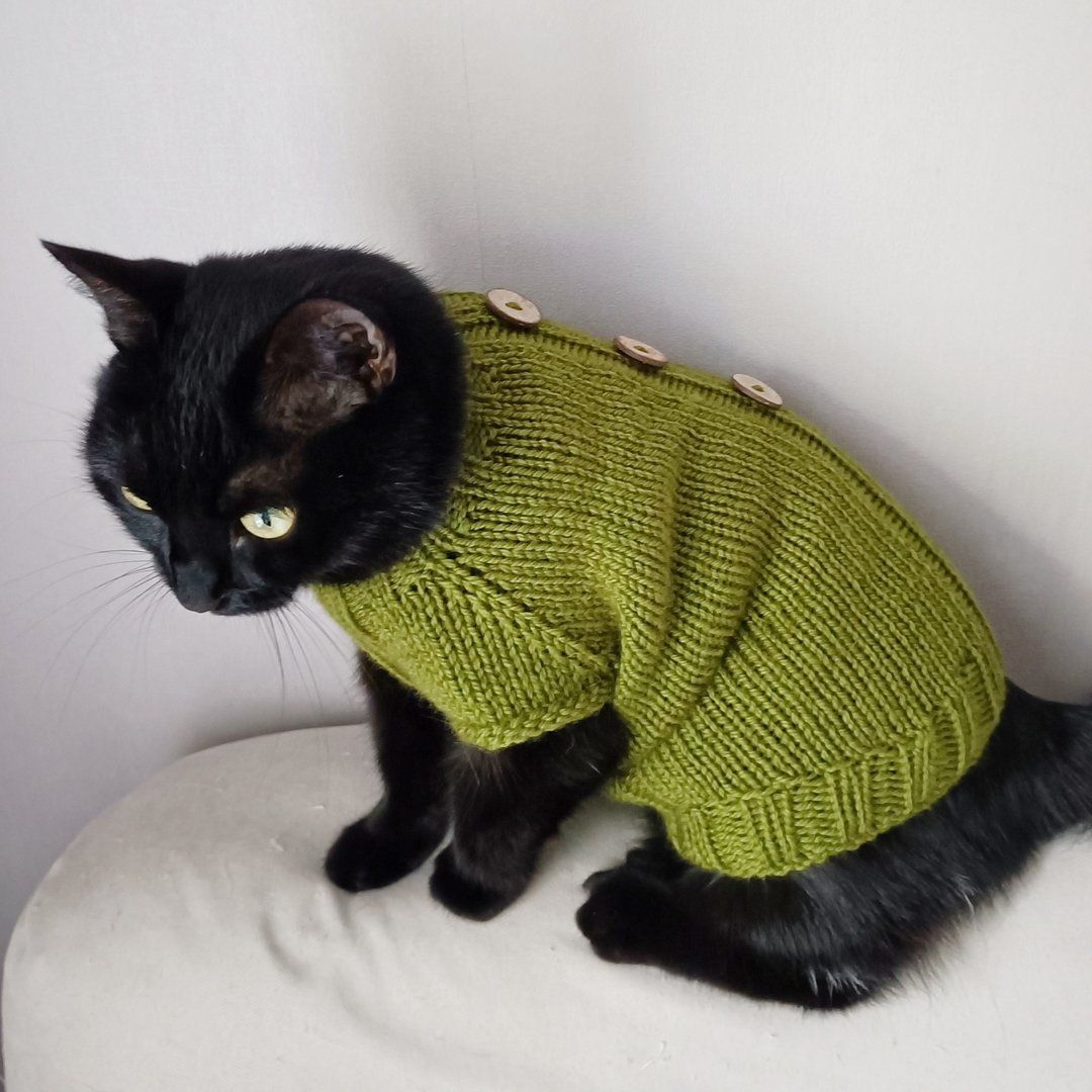 Cat jumper Sweater for pets Sweater for cat Sphynx cats sweaters Dog sweaters - 衣/帽 - 羊毛 