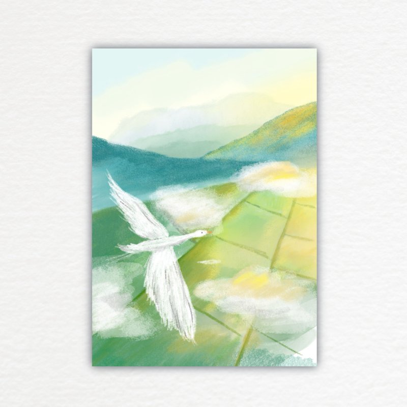 明信片 - 自由飞翔 - 卡片/明信片 - 纸 绿色