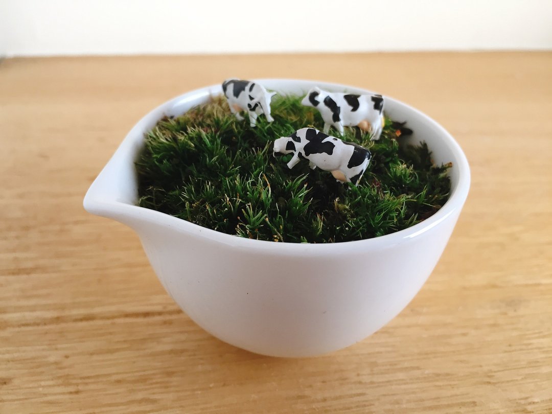 纯自然 草原上的动物 乳牛 白瓷器 盆栽 苔 植物 微景观 animal - 植栽/盆栽 - 植物．花 白色