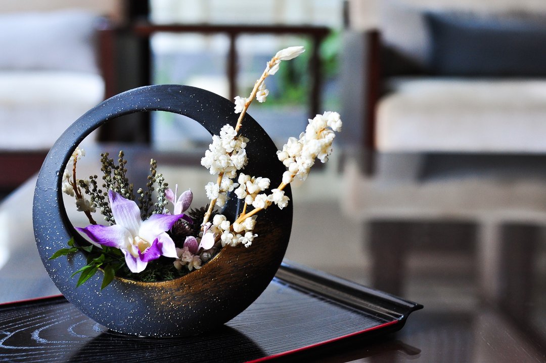 澪 │日式兰花花礼 Orchid Centerpiece - 植栽/盆栽 - 植物．花 黑色