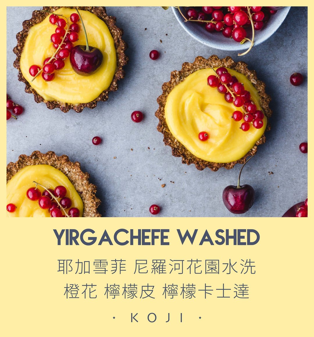 埃塞俄比亚 浅烘焙 耶加雪菲 尼罗河花园 水洗 咖啡豆 挂耳包 - 咖啡 - 新鲜食材 白色