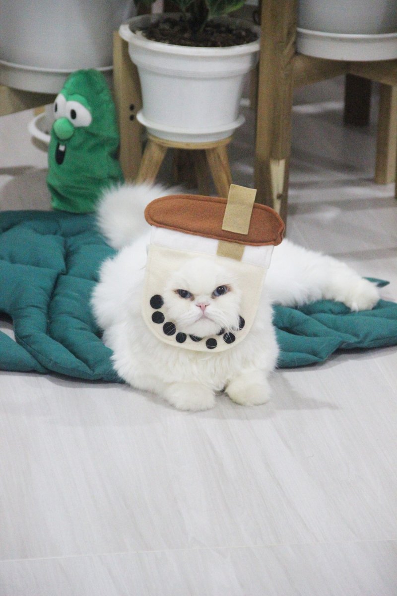 Bubble Tea Pet Costume | Tea Pet Costume | Milk Tea Pet Costume | Pet Costume - 衣/帽 - 其他材质 