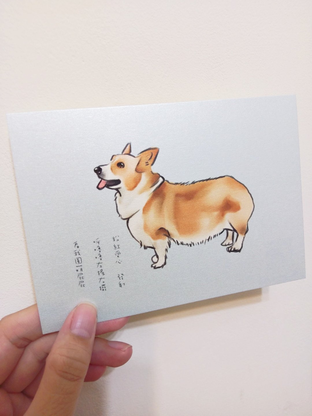 手绘风萌犬明信片5件组-情人节礼物开学科基法斗贵宾腊肠博美 - 卡片/明信片 - 纸 多色