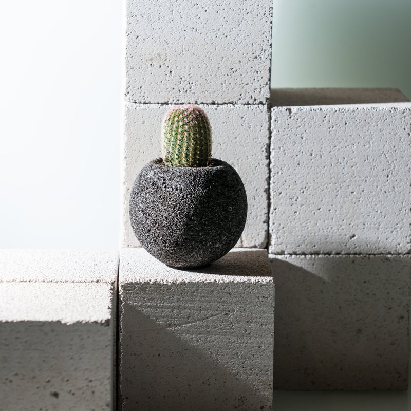 陨石星球仙人掌II - 黑色星球 - 植栽/盆栽 - 石头 黑色