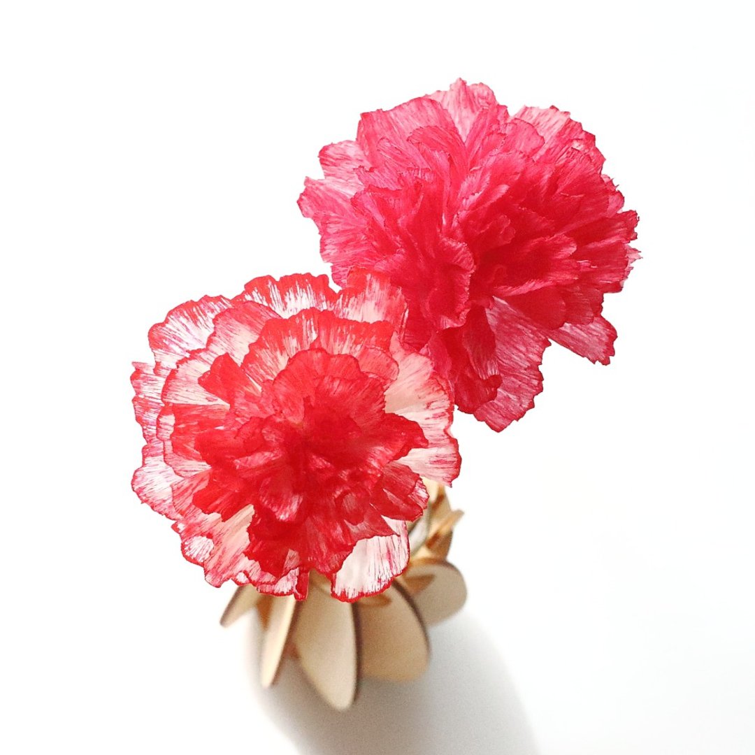 paper flower art 〜Carnation〜 - 摆饰 - 纸 红色