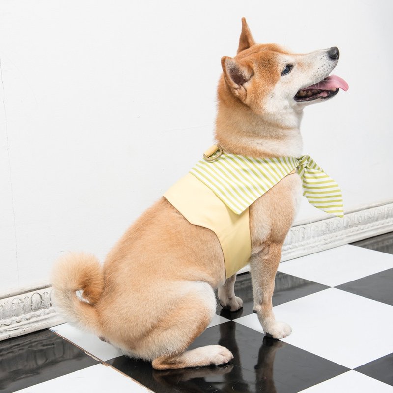 胸背衣 玩色计划-条纹控 Orange Blinks 柠檬派 (XS/S/M完售) - 衣/帽 - 棉．麻 多色