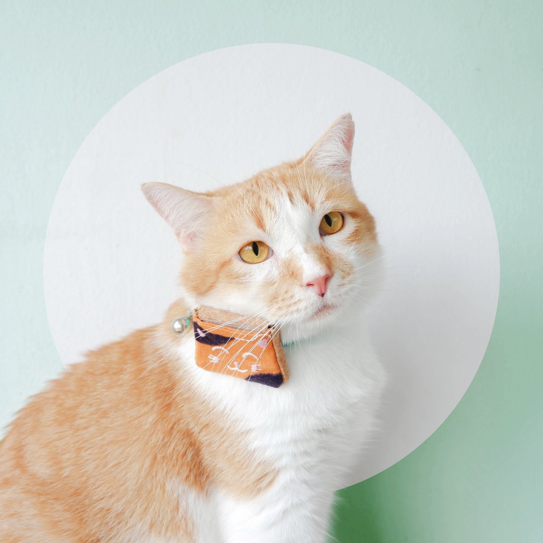 TRAVELING  - Bicolor-Orange Cat mini pocket with Breakaway cat collar for AirTag - 项圈/牵绳 - 棉．麻 橘色