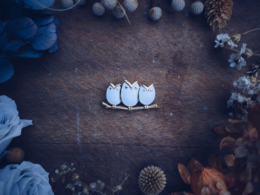 Trifari 三只猫头鹰珐琅胸针*难寻*美国古董首饰 Vintage Jewelry - 胸针 - 珐琅 