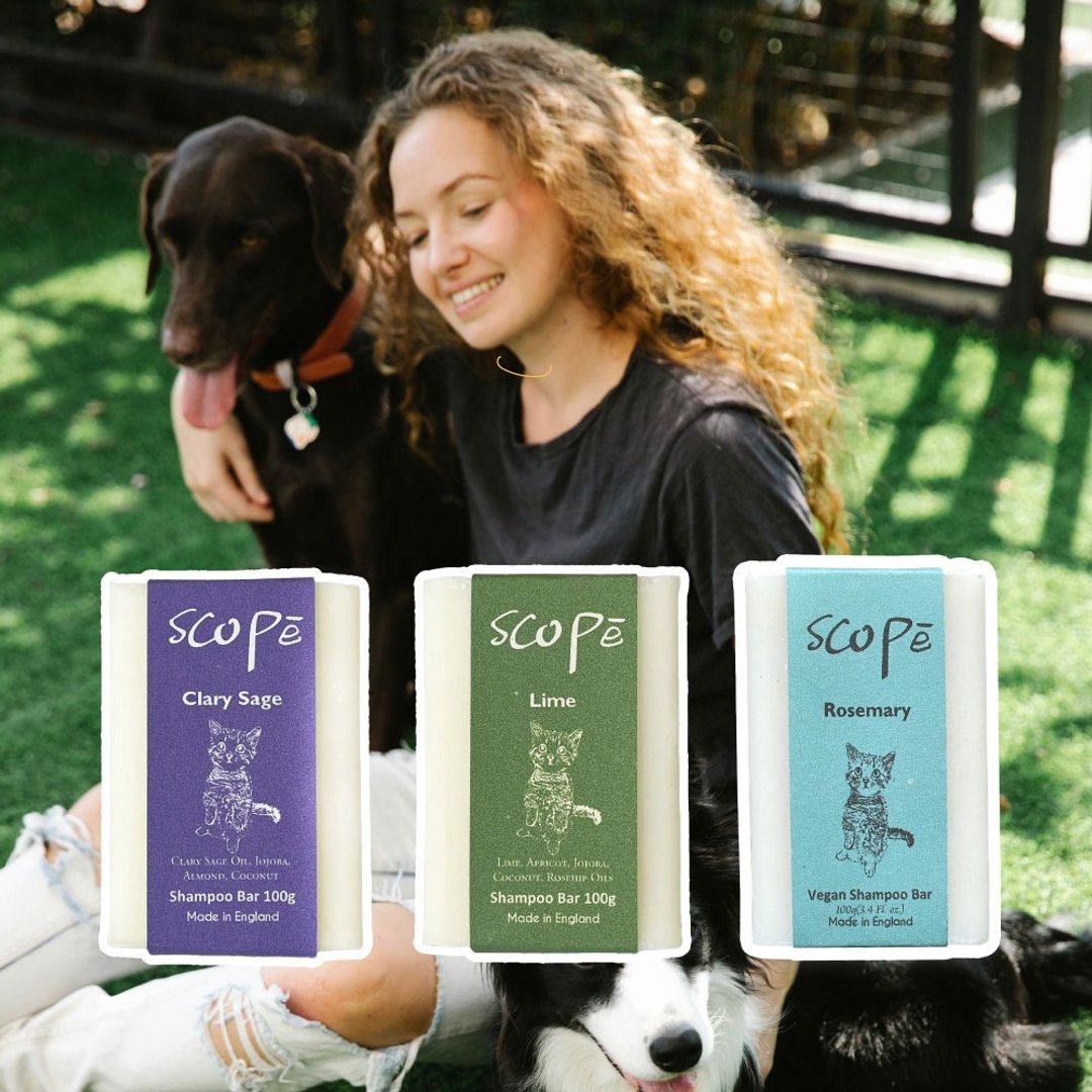 【诗可贝 SCOPē】快乐鼠尾草组洗发皂 - 全家健康好礼 - 洗发用品 - 浓缩/萃取物 