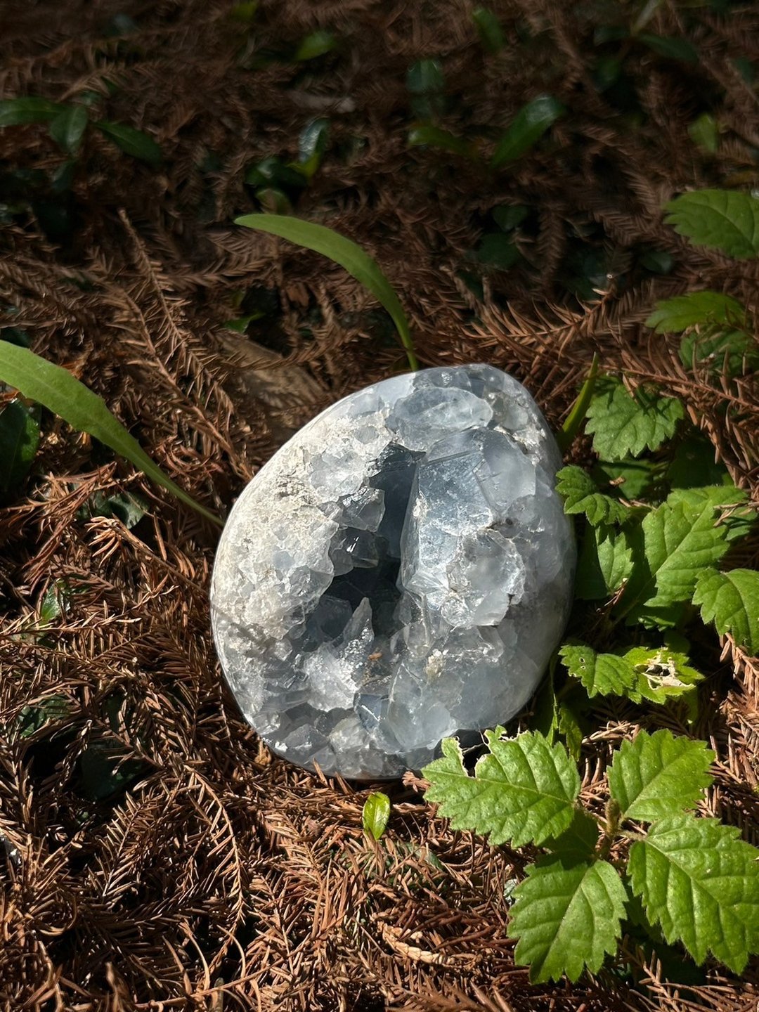 华光-藏晶阁 | 天青石Celestite/高频疗愈石 | 对应喉轮 眉心轮 - 摆饰 - 水晶 