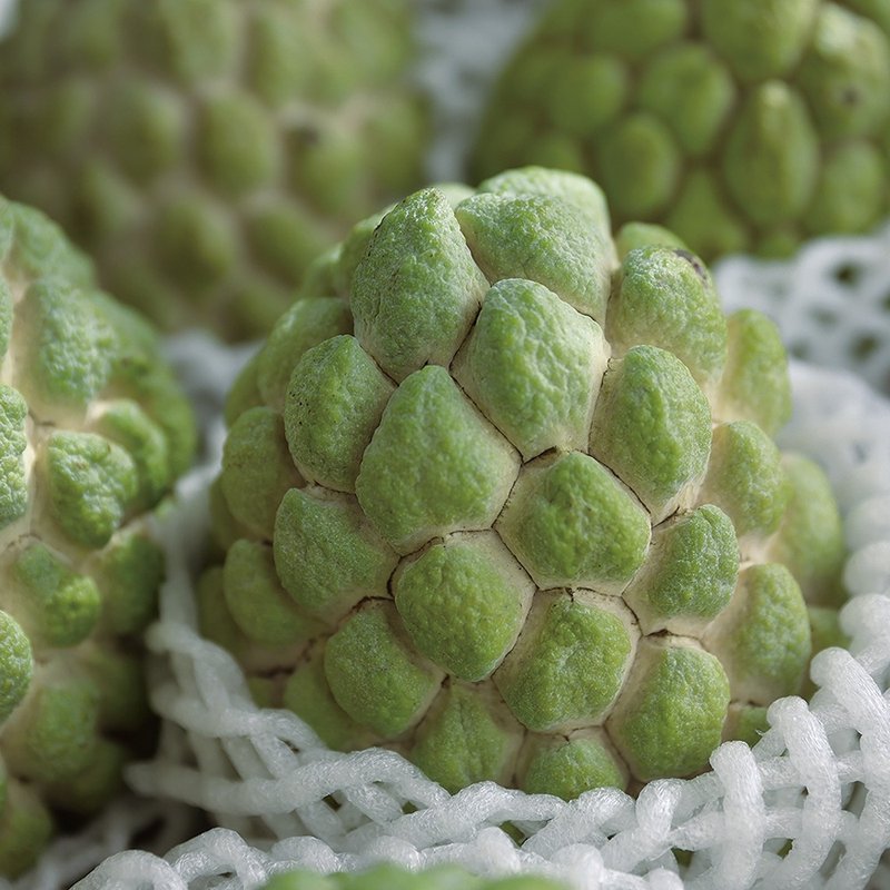 【产地直送/包邮】绝美绿宝石 大目释迦│大果 十斤/箱 - 其他 - 新鲜食材 绿色