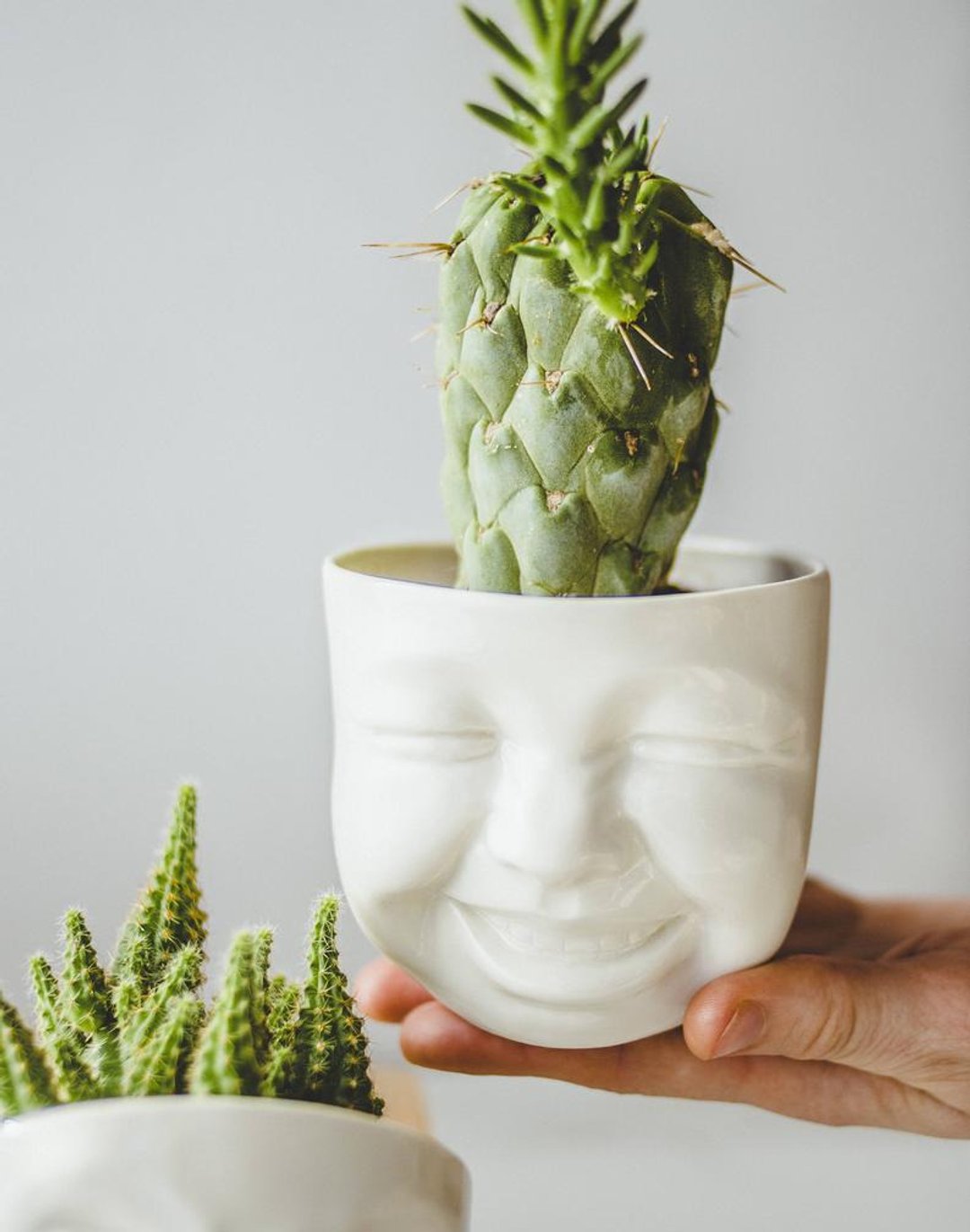 Laughing planter 可爱表情陶瓷器皿 - 花瓶/陶器 - 瓷 白色