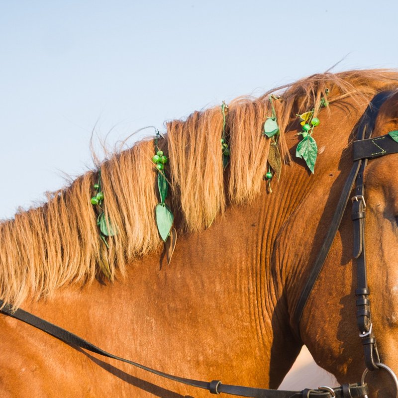 Green horse mane extension jewelry Handmade pony mane and tail clips spring - 其他 - 真皮 绿色