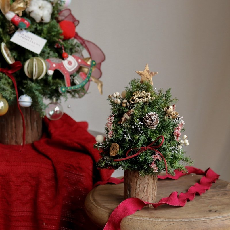 【遇见恒久】圣诞微光日本进口永生不凋雪松圣诞树 - 干燥花/捧花 - 植物．花 