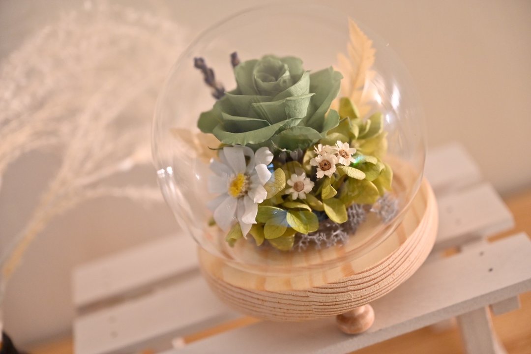 永生玫瑰玻璃盅 - 干燥花/捧花 - 玻璃 绿色