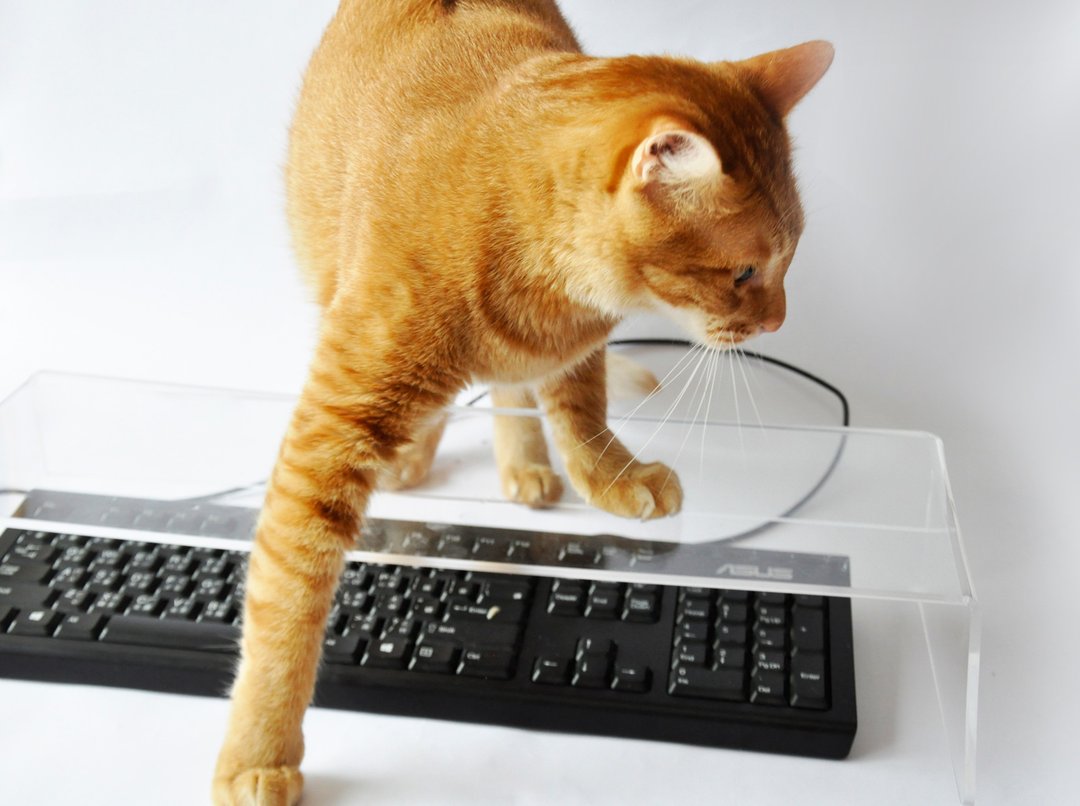 键盘防猫罩 猫咪键盘保护罩 - 抓板/跳台 - 压克力 透明