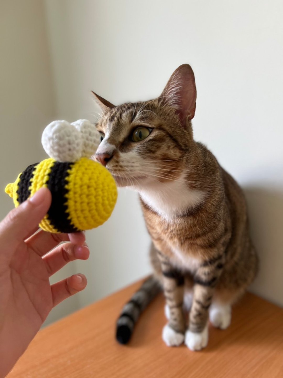 蜜蜂 手工猫草包 猫玩具 猫咪玩具 猫薄荷玩具 猫草玩具 - 玩具 - 其他材质 黄色