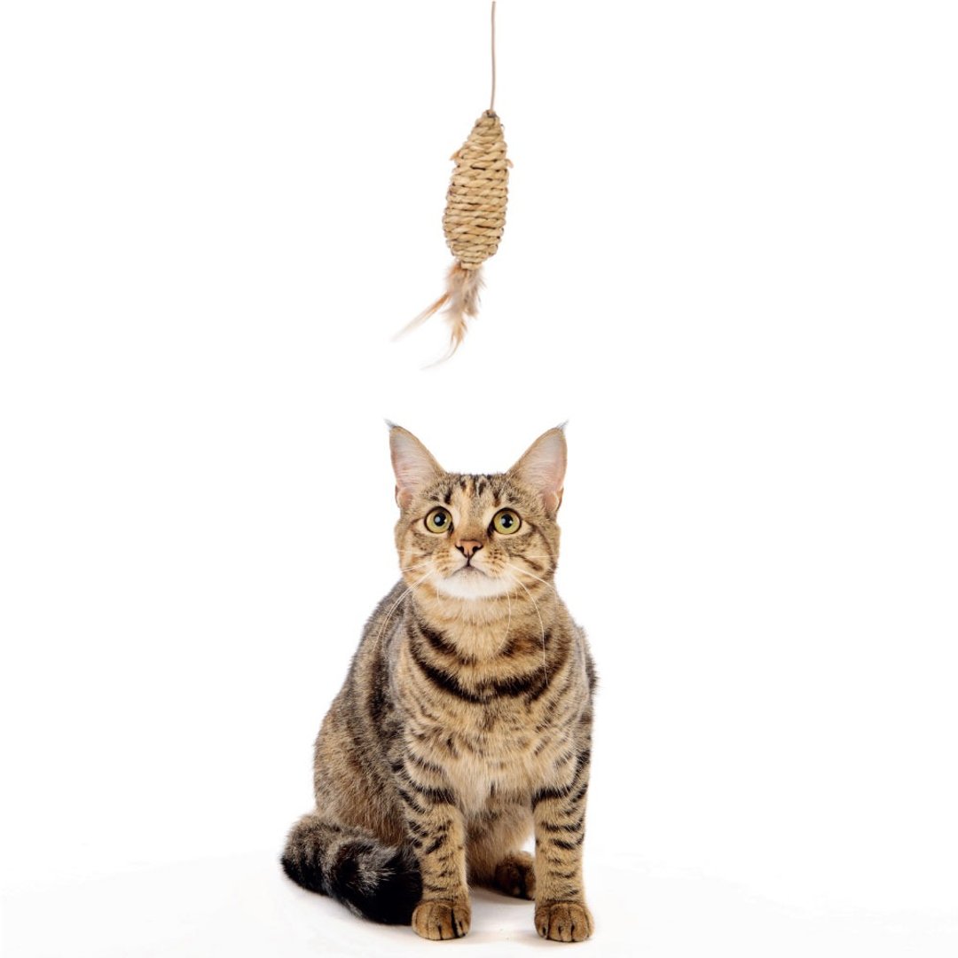 【MPETS】猫咪喜欢的大自然元素! 大自然逗猫棒(四款造型可选) - 玩具 - 其他材质 多色