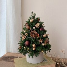 咖啡金橡果圣诞小树 日本永生雪松制作 颜色可维持