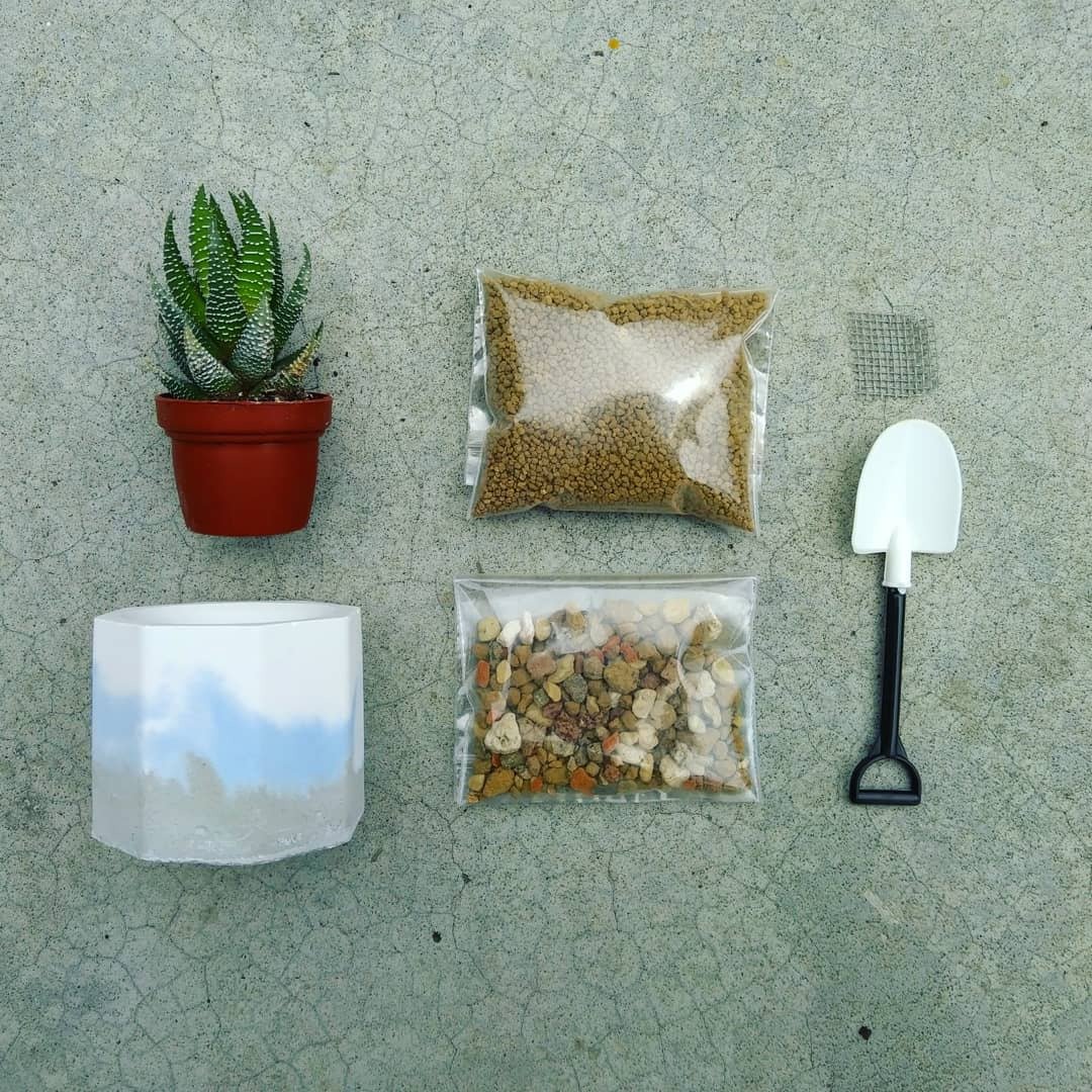 泥盆种植体验材料包 - 植栽 - 水泥 灰色