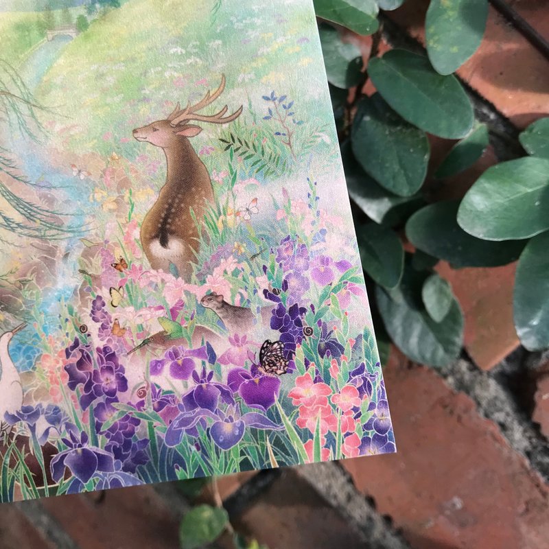 【秘密花园/卡片明信片】精致插画/加大款/梅花鹿/菖蒲/石虎/柳树 - 卡片/明信片 - 纸 粉红色