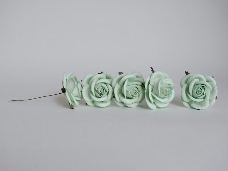 纸花，DIY，20 片小玫瑰花中心装饰，尺寸 4.5 厘米，薄荷色。 - 其他 - 纸 绿色